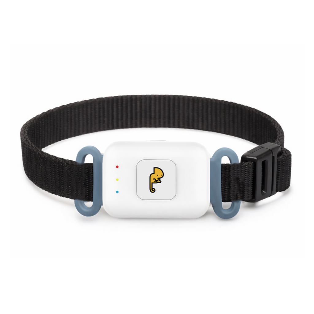 Piko Tracker